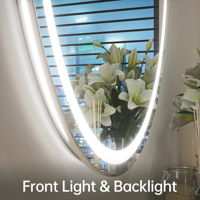 Orren Ellis Adorna Oval Frontlit & Backlit LED Wall Mirror / AntiFog